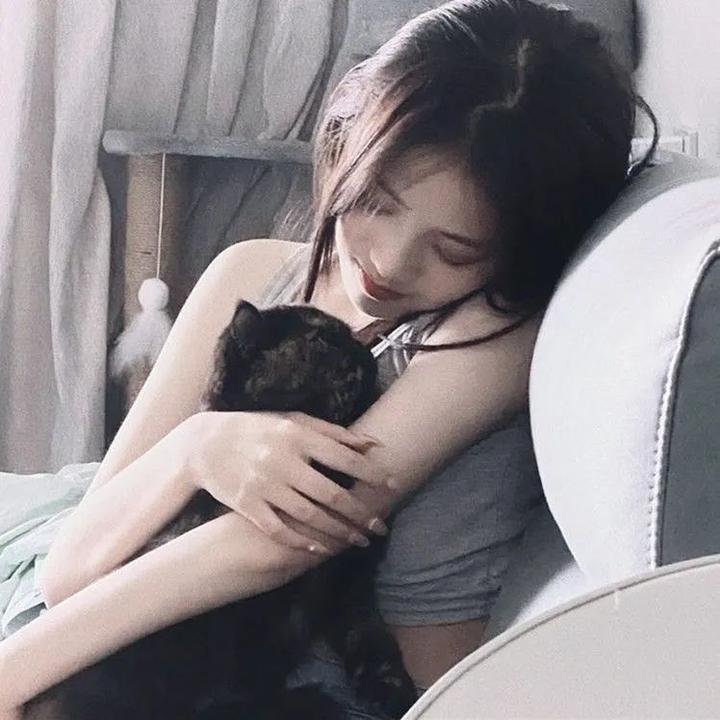 捕狼行动